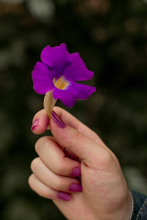 handholdingpurpleflower